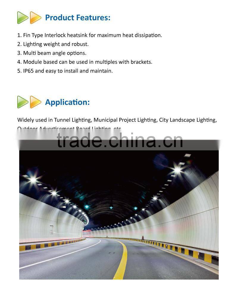 Outdoor 100W LED Tunnel Light