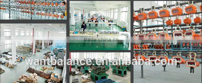 1 ton crane hanging scale