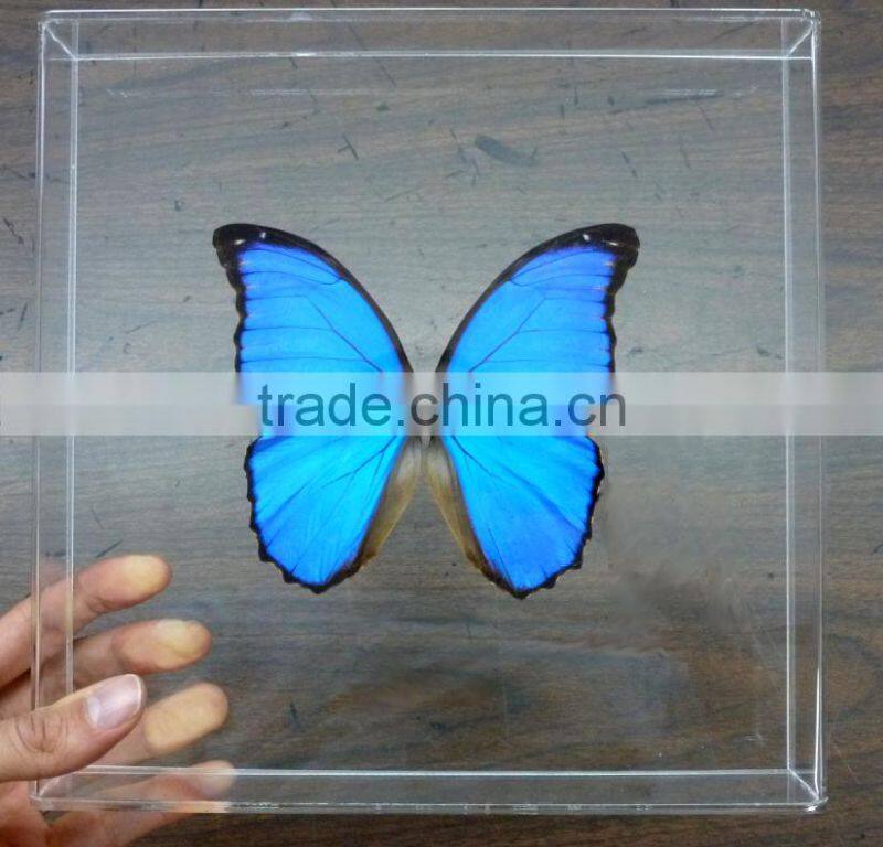 New Arrival Beautiful Deisgn Acrylic Photo Frame Clear and Fashion