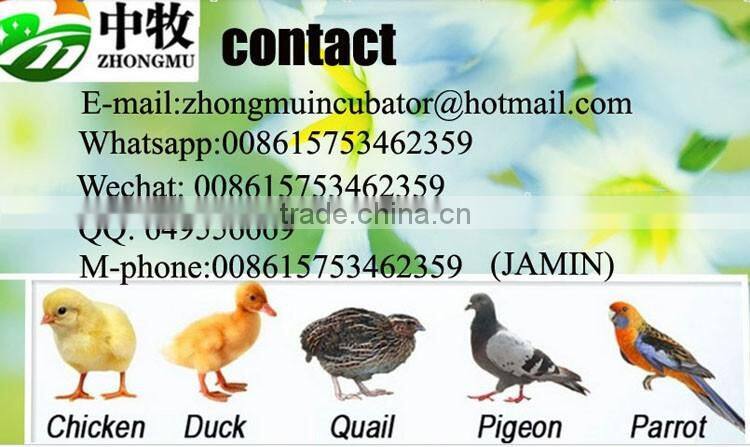 352 capacity fully automatic chicken egg incubator