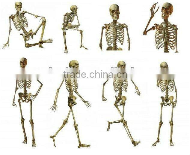 165cm hanging plastic halloween skeleton