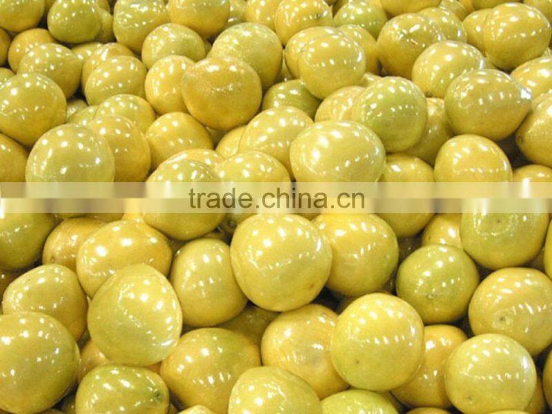 Professional fresh honey pomelo honey russia