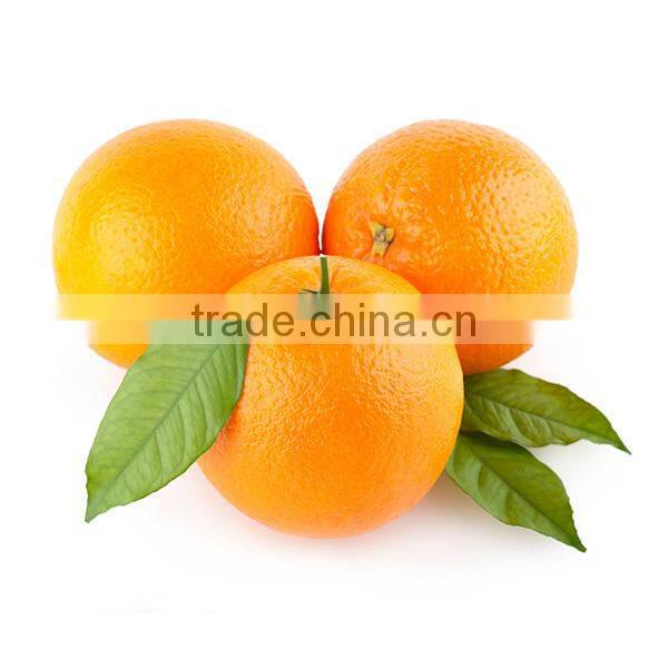 Lifelike plastic green apple / PVC artificial apples for display or children's early learning