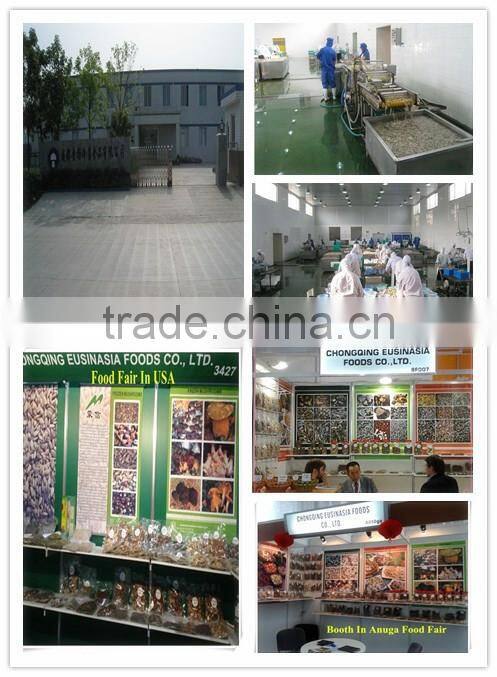 top quality black fungus dried agaric mushroom