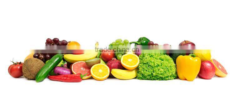 2017 Best Seller Double Door Under Counter Commercial Stainless Steel Refrigerator Freezer