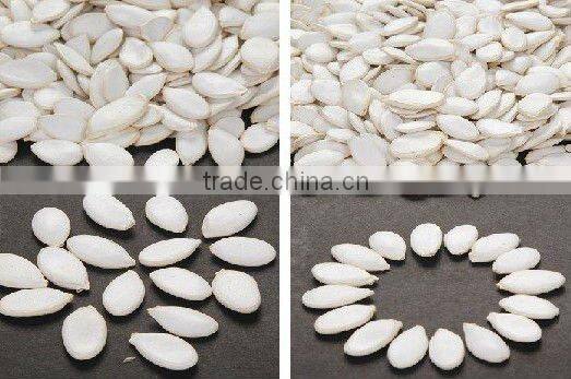 Pumpkin Seeds of Shine Skin