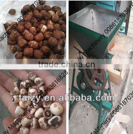 lotus seed machine//008618703616828