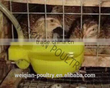 High quality and new material pigeon drinker/pigeon water drinkers/bird water drinkers/quail drinker