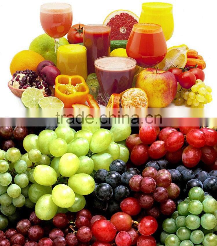Hydraulic Cherry Strawberry Juice Grape Press Machine