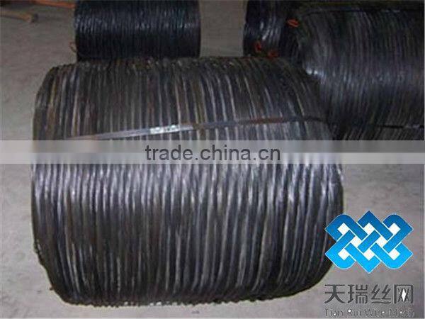 black annealed wire /iron/binding wire/iron wire anping