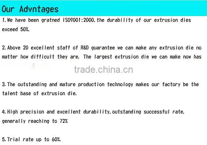 Multi cavity/aluminum extrusion mould/professional mould designer$manufacturer