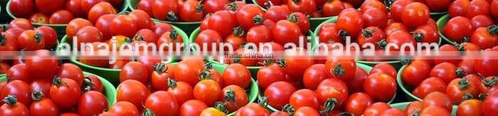 High Liquid filling machine/tomato sauce filling machine