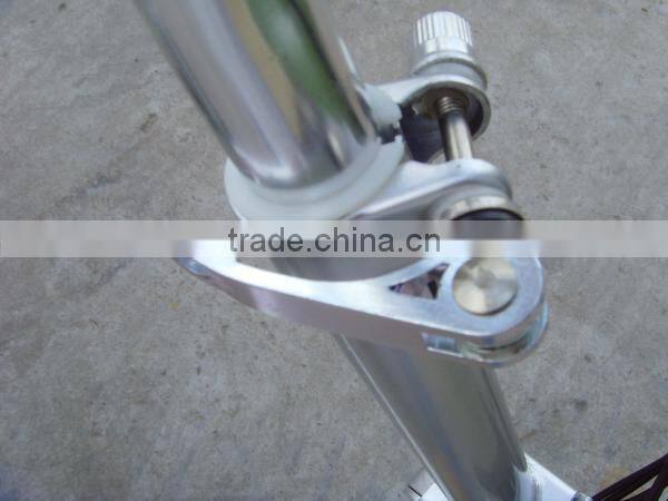 economic 250W 24V12A foldable lithium battery lead acid Electric Bicycle