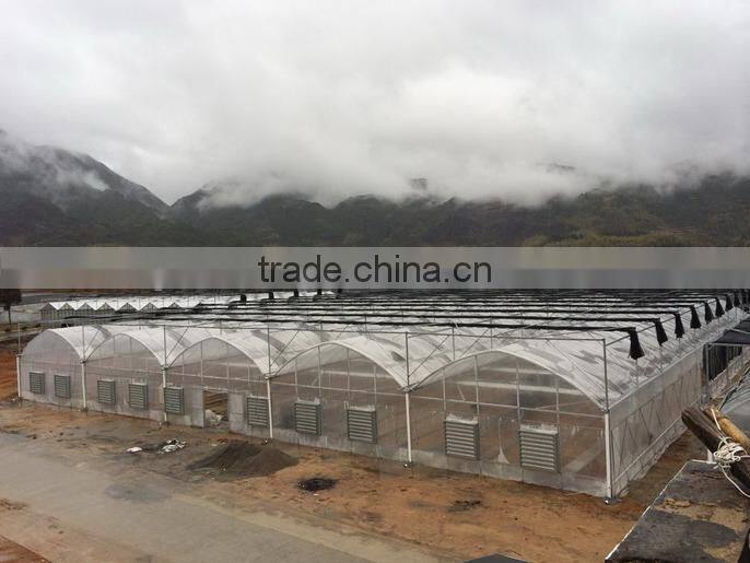 Glass span Greenhouse for Hydroponic Growing System