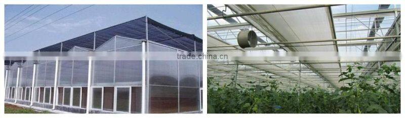 Pc Sheet / Polycarbonate Greenhouse For Flower Growing