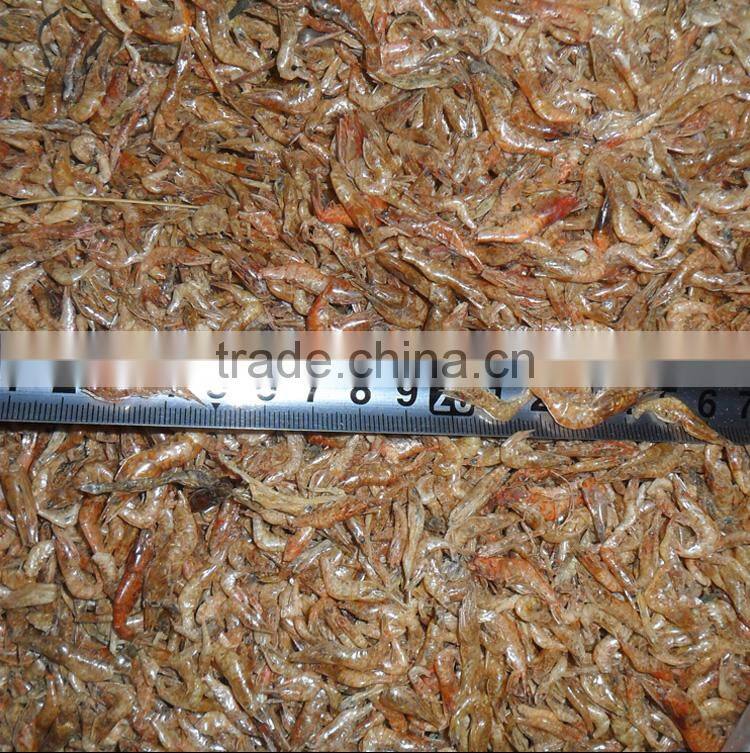 Organic freshwater air dried shrimp // fish food dried shrimp