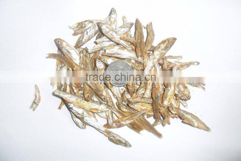High nutrition types of dried fish dry cat food
