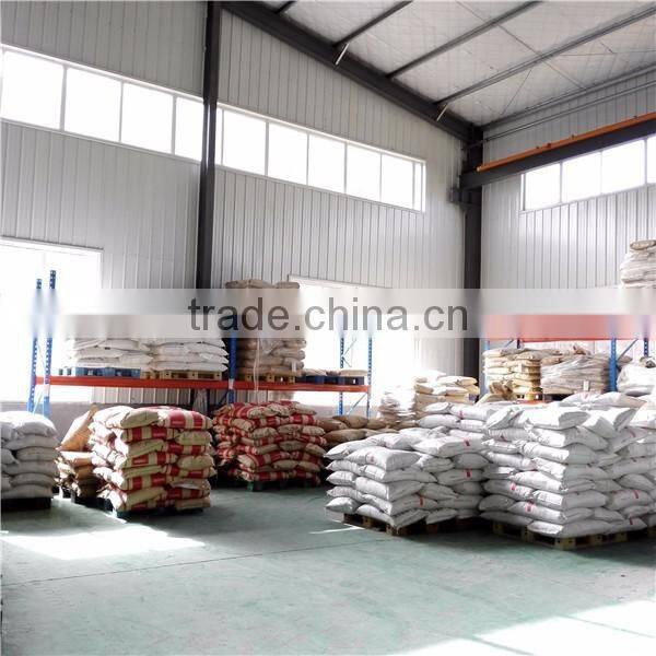 Marine Plastic blade SUP/Canoe/Kayak paddle