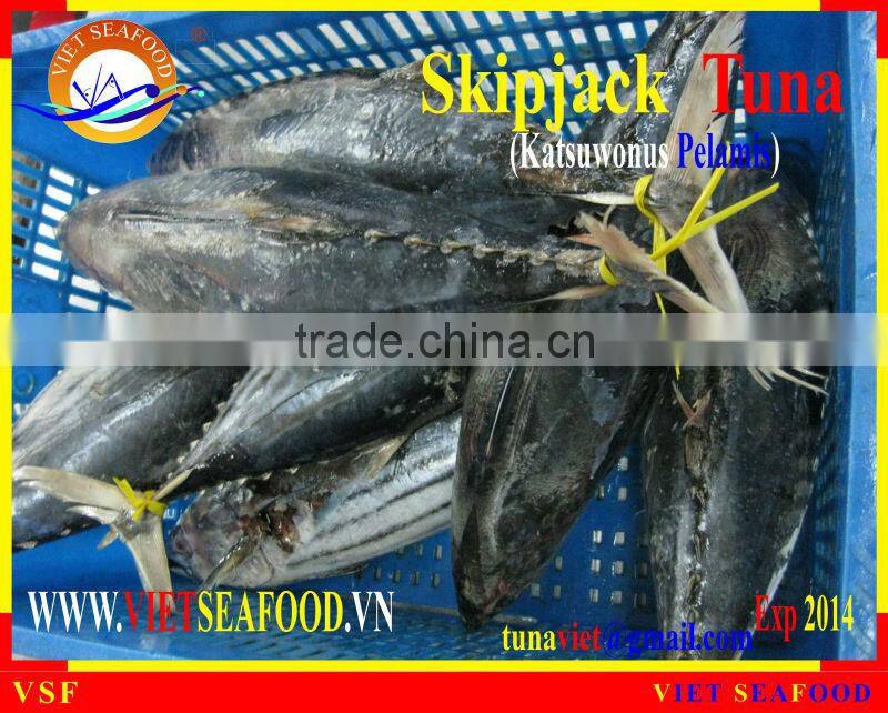 W/R FROZEN SKIPJACK TUNA