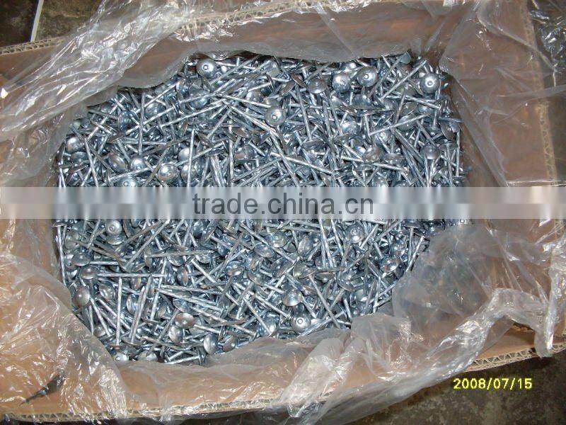 11 gauge roofing nail