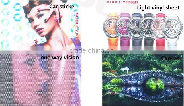 waterbase ink or eco solvent Ink Printing Machine A1651