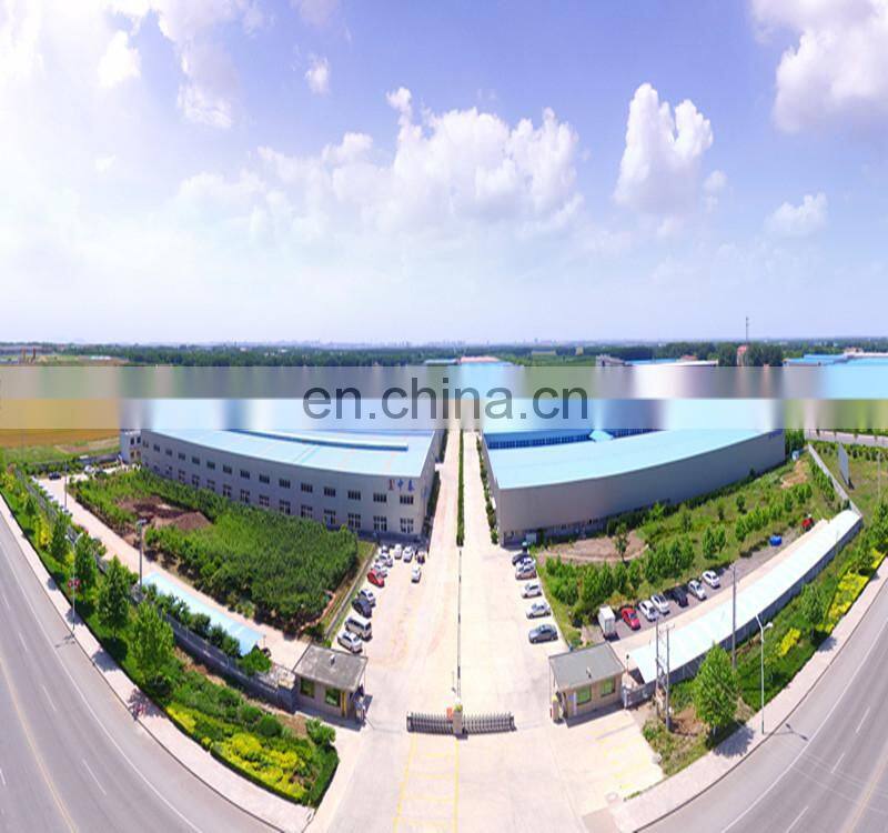 overhead door body sealing structure  450L medical pulsation vacuum sterilizer