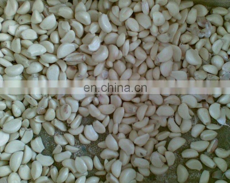 Hot selling automatic garlic separating/breaking machine, garlics processor