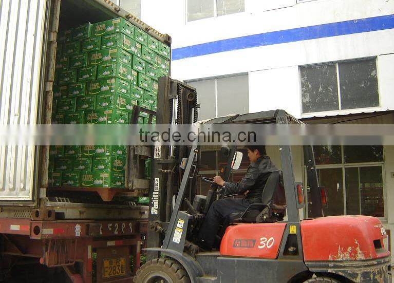 The Best Vegetable Product from China Fresh Garlic