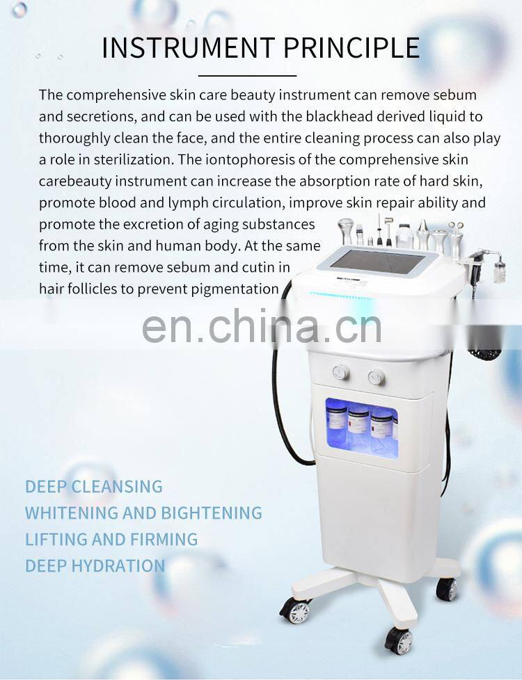10 IN 1 Comprehensive Facial Massager Beauty Instrument Ion Bubble Cleansing Oxygen Hydration Rejuvenation Skin Care Machine