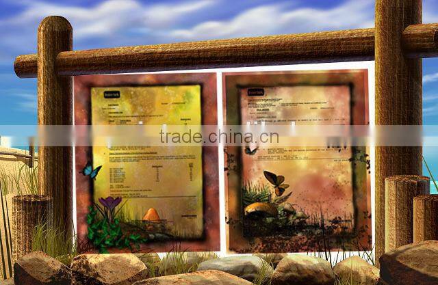 2014 promotion inflatable bouncer for sale