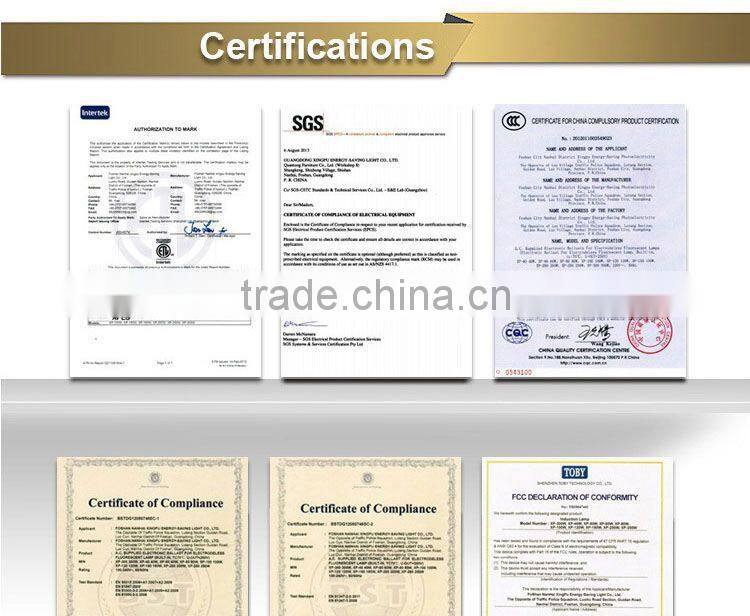 For sale hydroponic medical plant bi-spectrum induction grow light 300w