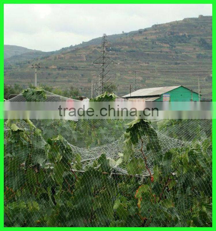high quality virgin HDPE crops top cover anti-bird stretch net