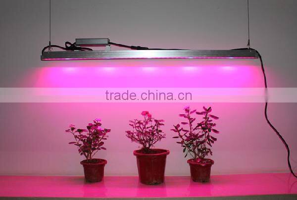 high power 200W 300w 400w Growing & flowering switchable led plants grow light
