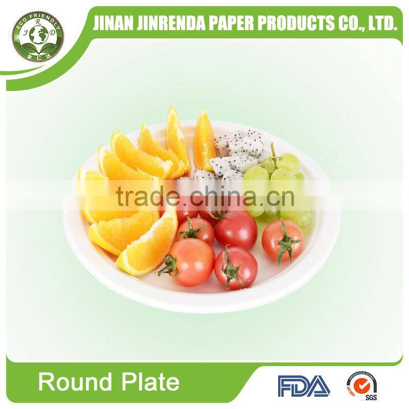 Disposable sugarcane pulp Plate