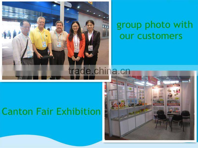 coil nail manufacturer