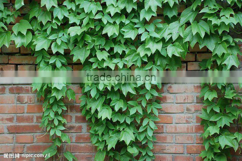 Residential decorative steel doors designs bread door