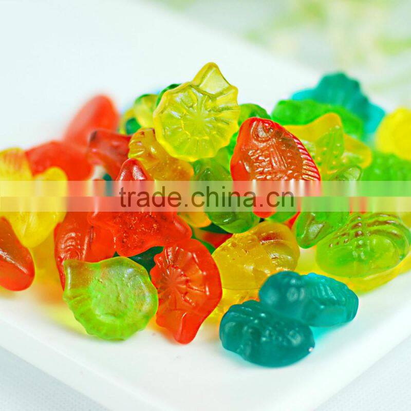 SE 600 Multi-Function Servo Jelly/Gummy Candy Machine