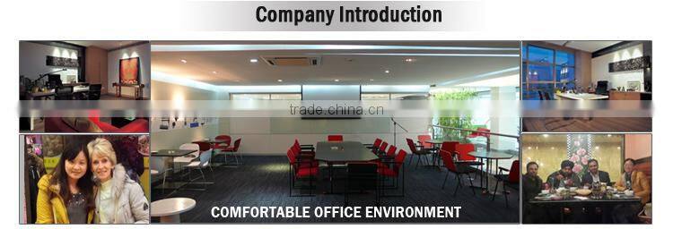 100% New Zealand wool big flower pattern carpet with various colors