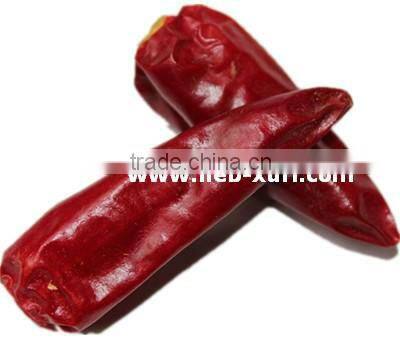 red chili pepper