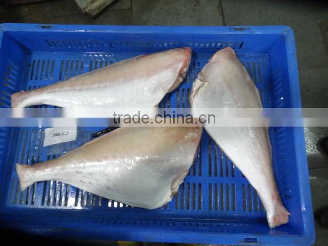 FROZEN LEATHER JACKET HGT