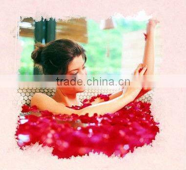 NEW handmade hotel paper soap supplies