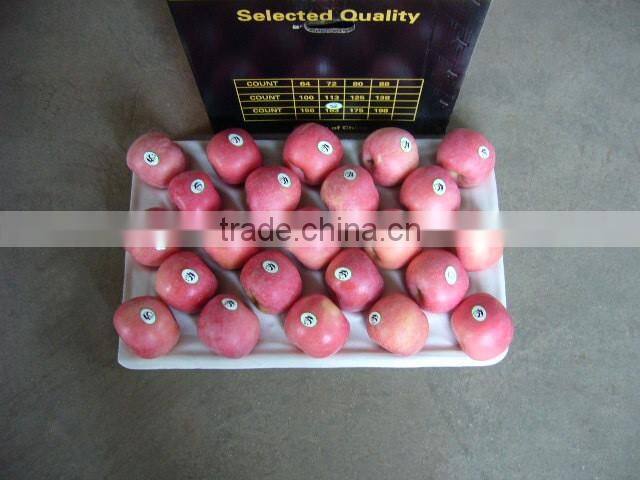 2015 good taste fresh apples