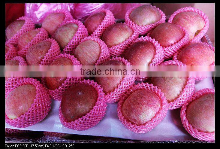 red delicious apples