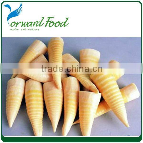 227g private label canned bamboo shoot strips in tin