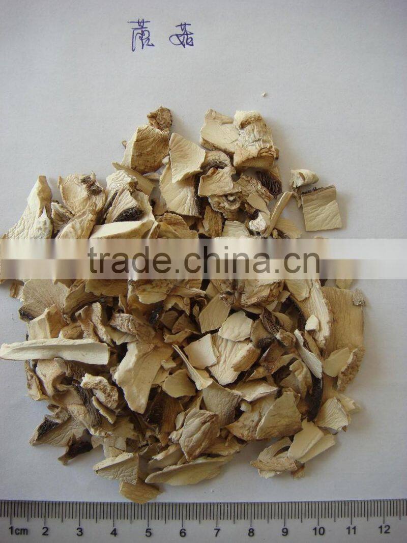 Alibaba buy now market prices for mushroom products made in asia