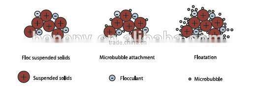 WWTP System Equipment Scraper for Food Processing Waste water Treatment Sedimentation Dissolved Air Flotation (DAF)