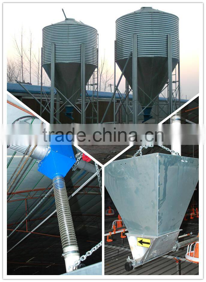 Automatic chicken poultry farming equipment