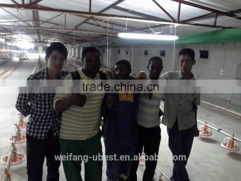 Turnkey project broiler poultry shed design