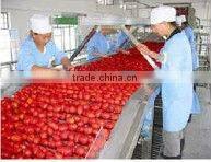 Whole Ketchup production line/system/machines/Equipment