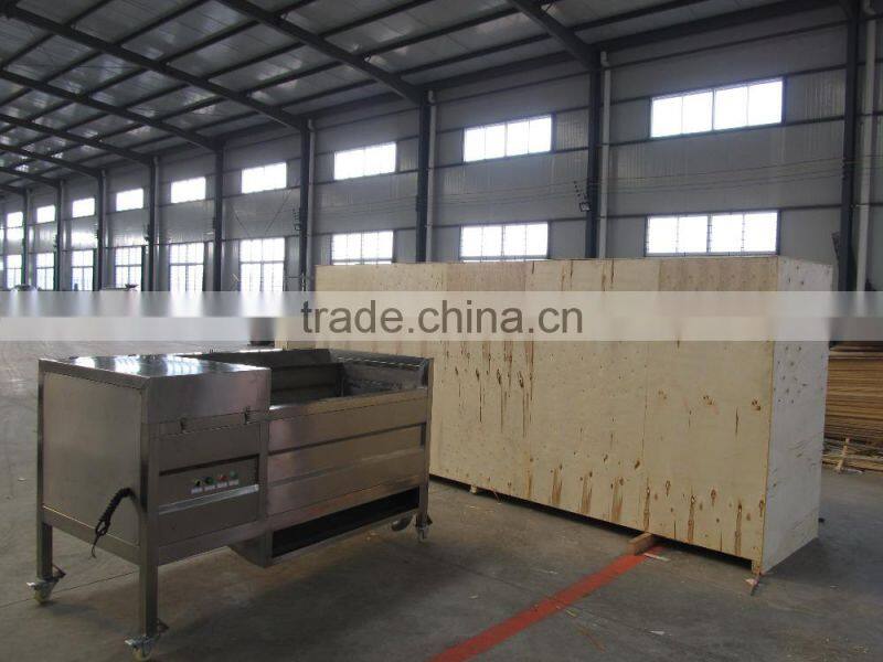 cheap price nylon brush roller type carrot washing machine